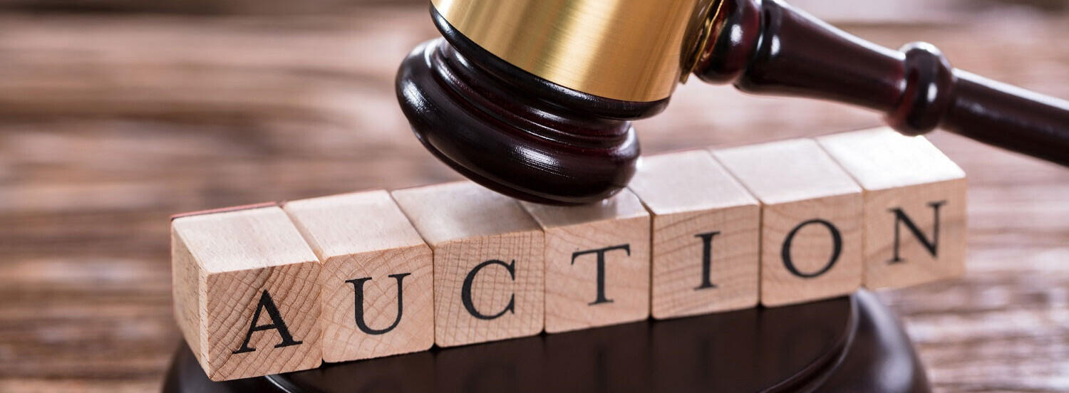 SKJAJA Fund - Spring Fundraiser Auction